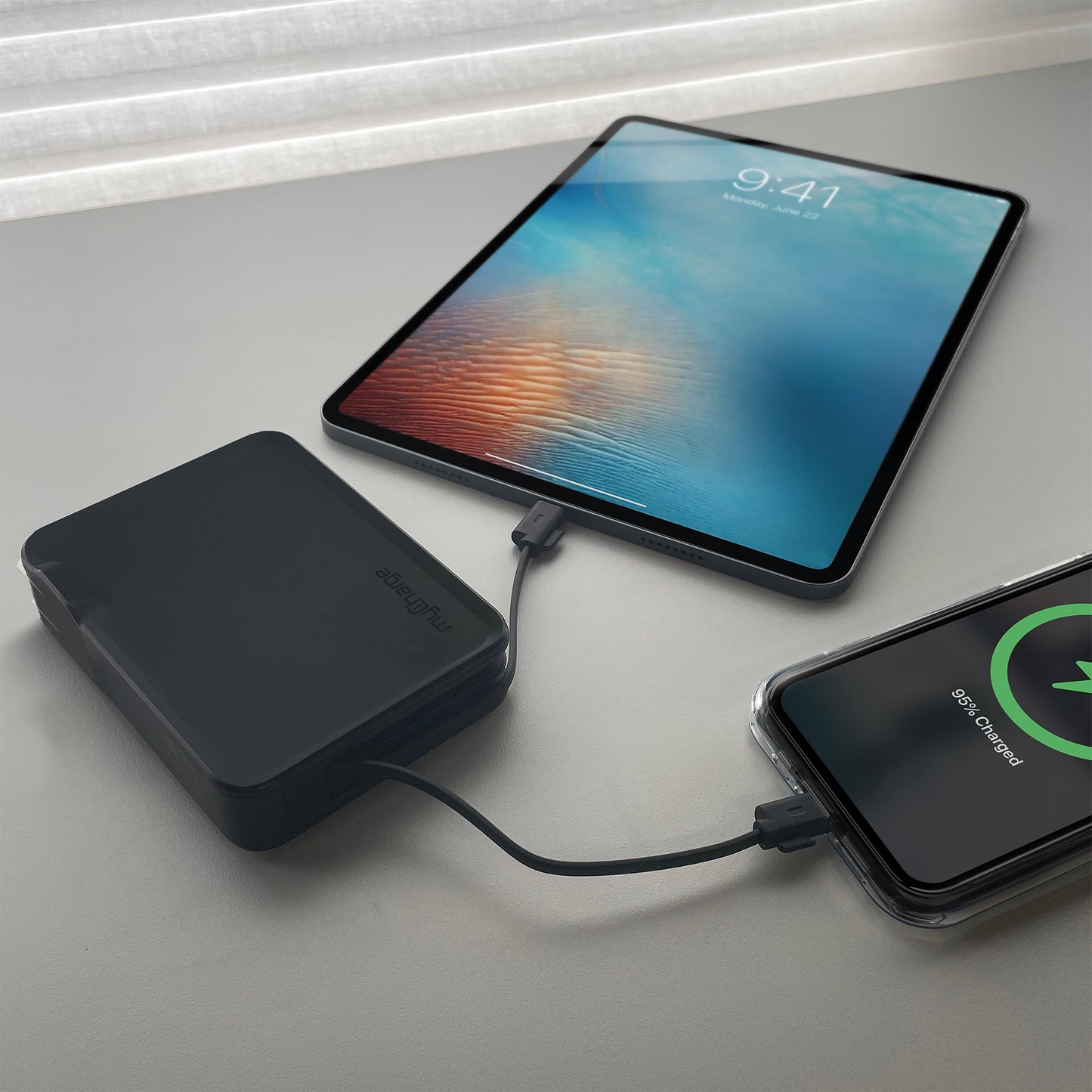 Powermax 15,000Mah All-In-One Portable Charger